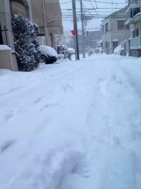 ホームページをリニューアルしました